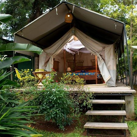 Bluemonkey Guesthouse Entebbe Exterior foto